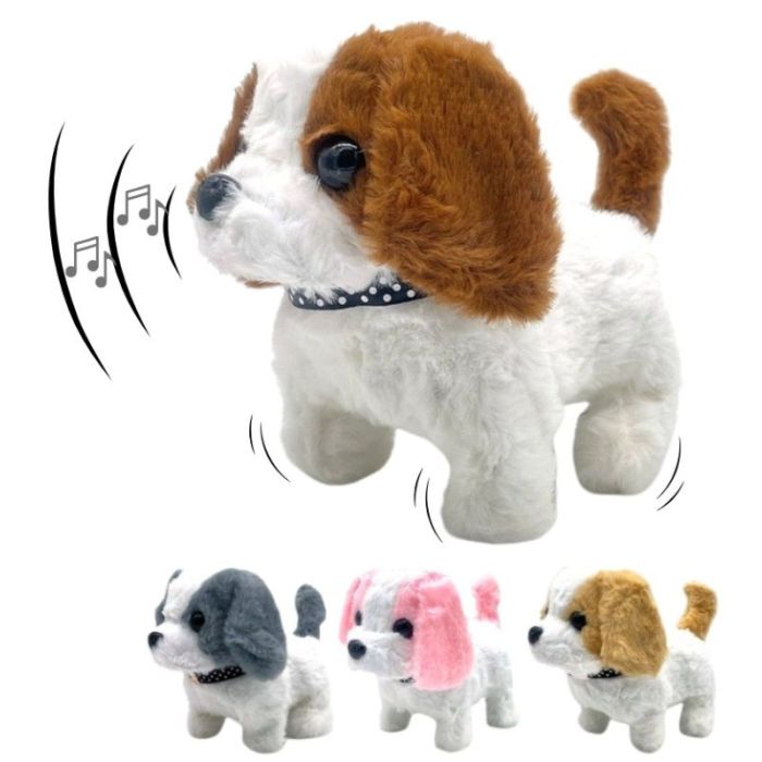 2100000069548.jpg