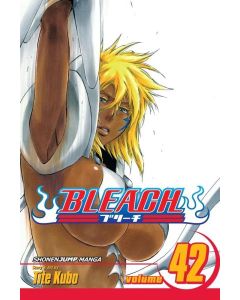 Viz Media Bleach Paperback Manga-Vol. 42 (Diversen) Nieuw