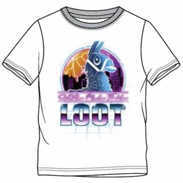 Epic Games Fortnite Neon Give Me The Loot Llama T-Shirt-Maat 176 (Diversen) Nieuw