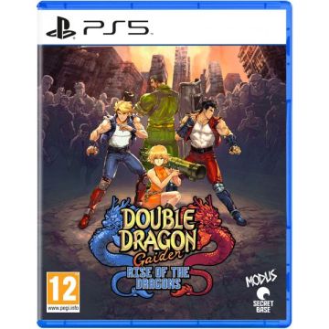 Double Dragon Gaiden Rise of the Dragons-Standaard (PlayStation 5) Gebruikt