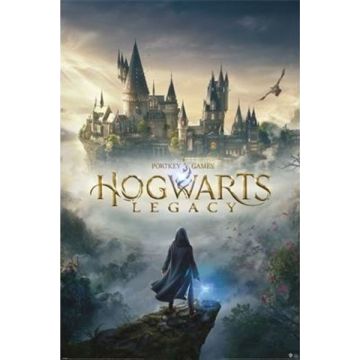 Hole in the Wall Hogwarts Legacy Maxi Poster-Wizarding World Universe (Diversen) Nieuw