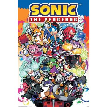 Hole in the Wall Sonic the Hedgehog Maxi Poster-Sonic Comic Characters (Diversen) Nieuw