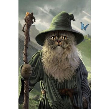 Hole in the Wall Fantasy Characters Maxi Poster-Catdalf (Diversen) Nieuw