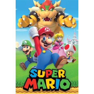 Hole in the Wall Super Mario Maxi Poster-Character Montage (Diversen) Nieuw