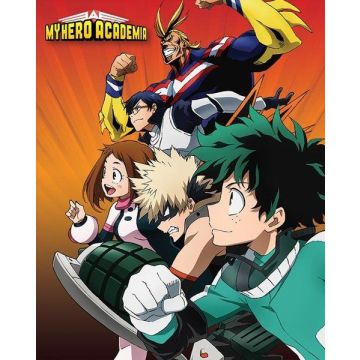 Hole in the Wall My Hero Academia Mini Poster-Heroes to Action (Diversen) Nieuw
