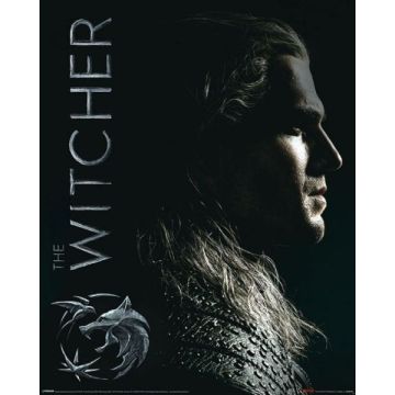Hole in the Wall The Witcher Mini Poster-Shadows Embrace (Diversen) Nieuw