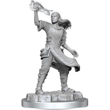 WizKids Dungeons & Dragons Nolzur's Marvelous Miniatures-Aasimar Cleric (Female) (Diversen) Nieuw