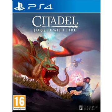 Citadel Forged with Fire-Standaard (PlayStation 4) Nieuw