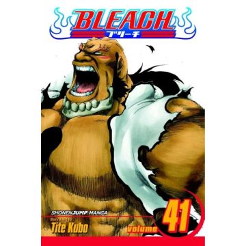 Viz Media Bleach Paperback Manga-Vol. 41 (Diversen) Nieuw