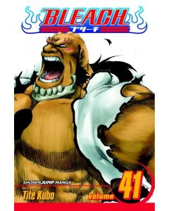 Viz Media Bleach Paperback Manga -Vol. 41 (Diversen) Nieuw