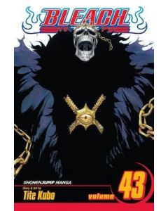 Viz Media Bleach Paperback Manga -Vol. 43 (Diversen) Nieuw