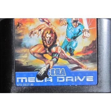 Eternal Champions-Kale Cassette (Sega Mega Drive) Gebruikt