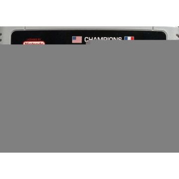 Champions World Class Soccer-Kale Cassette Duits (SNES) Gebruikt
