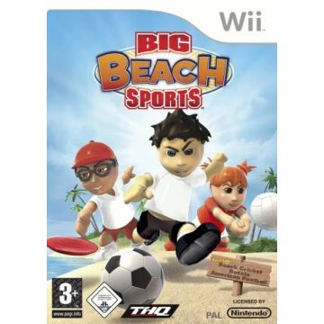 Big Beach Sports-Duits (Wii) Gebruikt