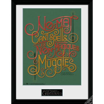 GBeye Fantastic Beasts Framed Print 30x40CM-No-Maj (Diversen) Nieuw