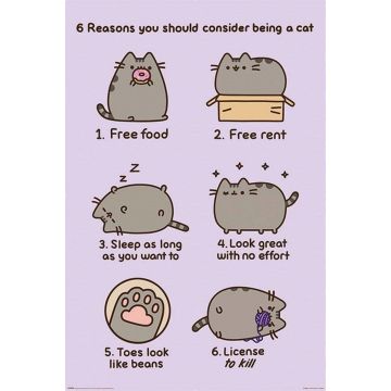 Hole in the Wall Pusheen Maxi Poster-Reasons to Be A Cat (Diversen) Nieuw
