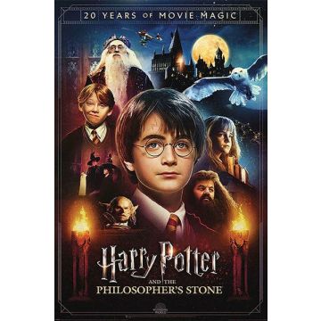 Hole in the Wall Harry Potter Maxi Poster-20 Years of Movie Magic (Diversen) Nieuw