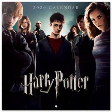 Grupo Erik Harry Potter Kalender 2020-Characters (Diversen) Nieuw