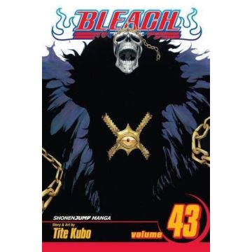 Viz Media Bleach Paperback Manga-Vol. 43 (Diversen) Nieuw